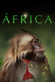 Africa