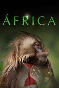 Africa