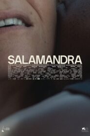 Salamandra
