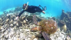 Ningaloo: A Maravilha Oceânica da Austrália: 1×1