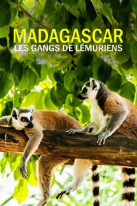 Gangues da Ilha Lemur 1ª temporada
