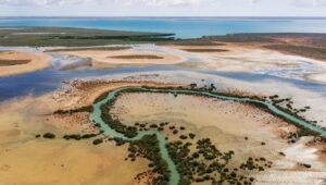 Ningaloo: A Maravilha Oceânica da Austrália: 1×2