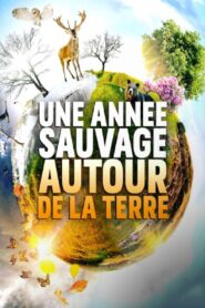 Um Ano Selvagem na Terra 1ª Temporada
