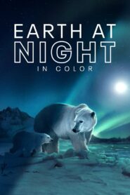 Noite na Terra em Cores 2ª