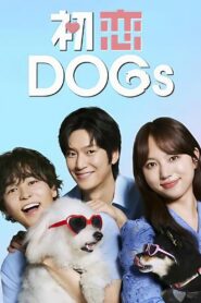 Amor é para os cães 1ª temporada
