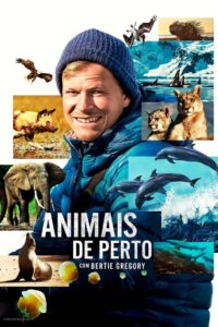 Animais de Perto com Bertie Gregory