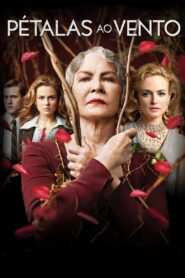Pétalas ao Vento