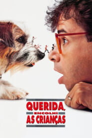 Querida, Encolhi as Crianças