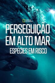 Perseguição em Alto Mar – Espécies em Risco