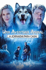 Uma Aventura Animal: A Jornada para Casa