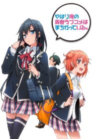 Yahari Ore no Seishun Love Comedy wa Machigatteiru